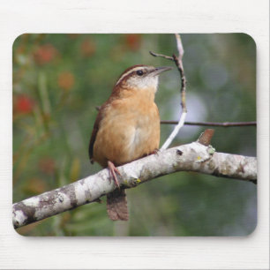 Carolina Wren Mouse Mat