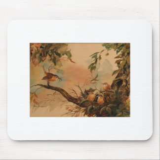 Carolina Wren Mouse Mat