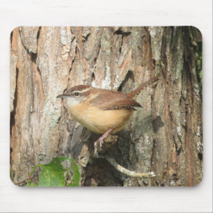 Carolina Wren Mouse Pad
