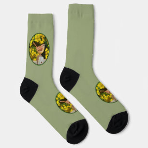 Carolina Wren Painting - Original Wild Bird Art Socks