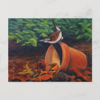 Carolina Wren Postcard