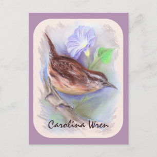 Carolina Wren with Morning Glory Flowers Postcard