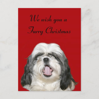 Caroling Christmas Shih Tzu Holiday Postcard