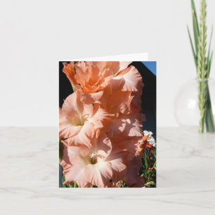 Carol's Gladiola Sympathy Card