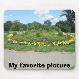 carols pic's1 022, My favourite picture Mouse Mat