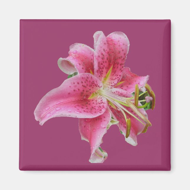 Carolyn's Lily Magnet (Front)