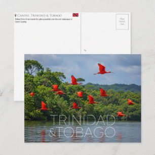 Caroni Bird Sanctuary, Trinidad & Tobago Travel Postcard