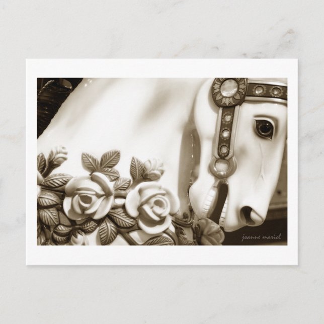Carousel 13 Postcard (Front)