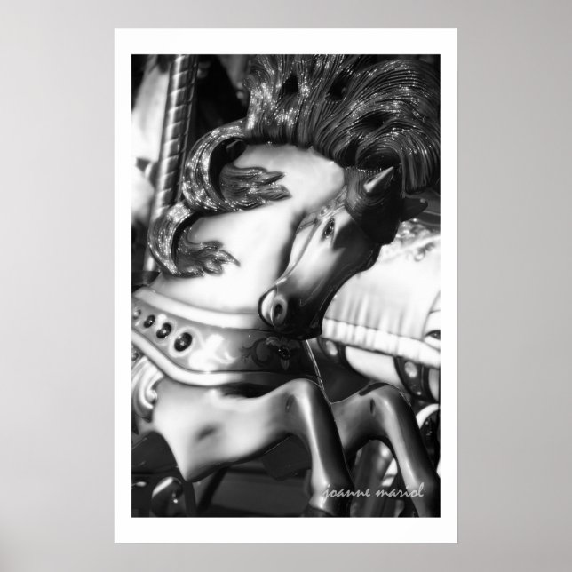 Carousel 20 Poster Print (Front)