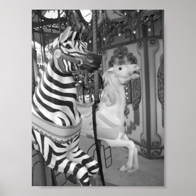 Carousel at the Audubon Zoo New Orleans, Louisiana Poster (Front)