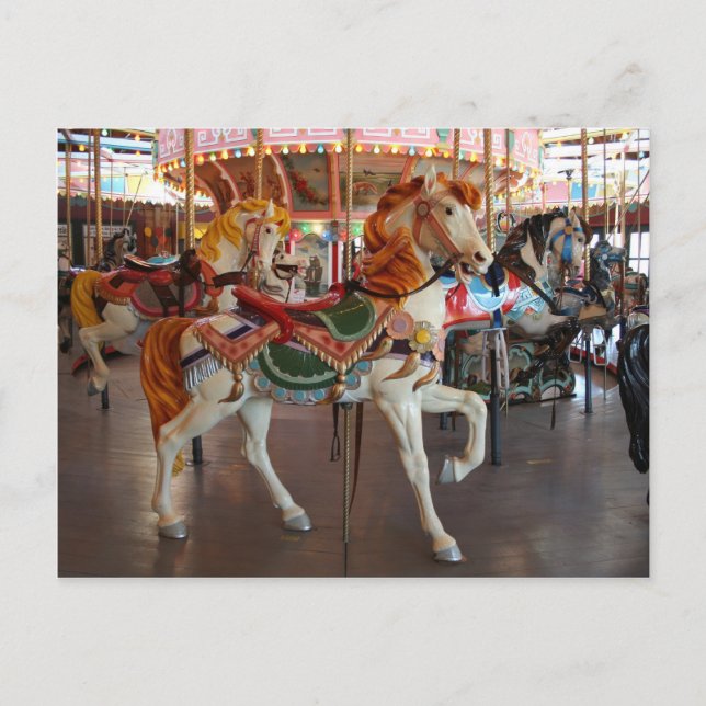 Carousel Horse,2 Postcard (Front)