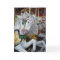 Carousel Horse Birthday Card
