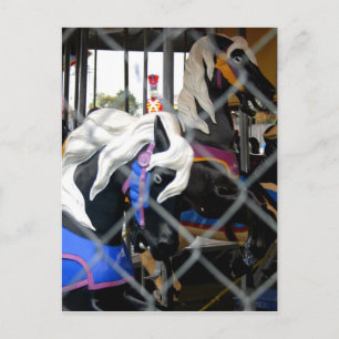 Carousel Postcard