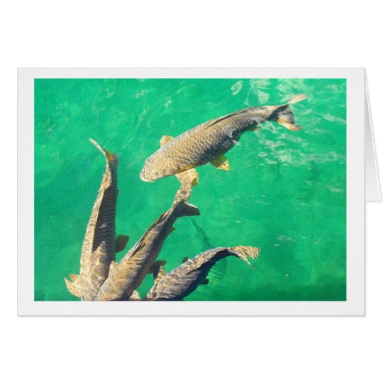 Carp Card