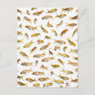 Carp (Cyprinus carpio) 2 Postcard