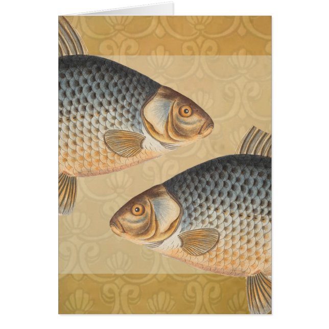 Carp fish fishing painting freshwater (Front)