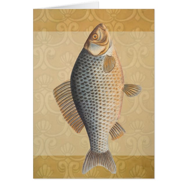Carp fish fishing painting freshwater (Front)