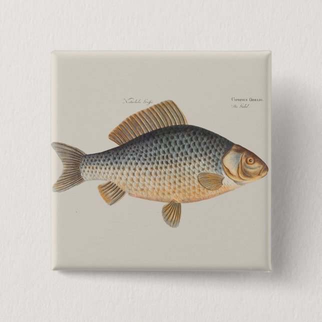 Carp fish fishing painting freshwater 15 cm square badge (Front)