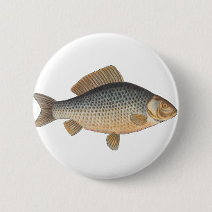 Carp fish fishing painting freshwater 6 cm round badge
