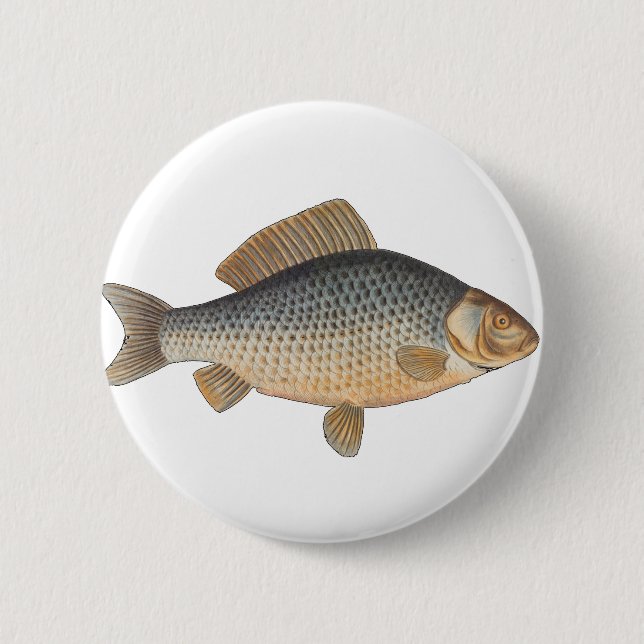 Carp fish fishing painting freshwater 6 cm round badge (Front)