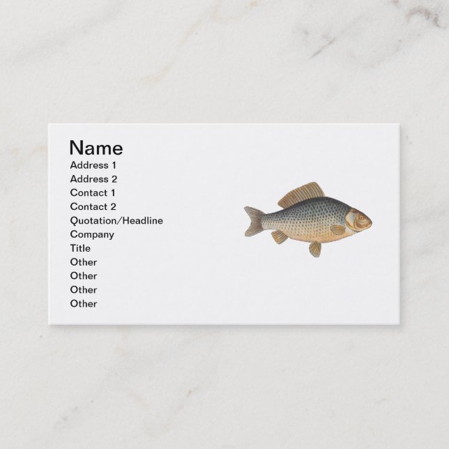 Carp fish fishing painting freshwater business card (Front)