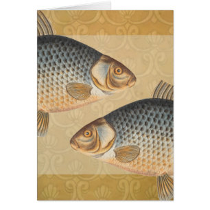 Carp fish fishing painting freshwater drawing