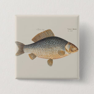 Carp fish fishing painting freshwater drawing 15 cm square badge
