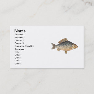 Carp fish fishing painting freshwater drawing business card