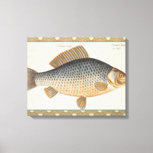 Carp fish fishing painting freshwater drawing  canvas print