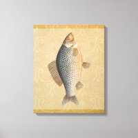 Carp fish fishing painting freshwater drawing 