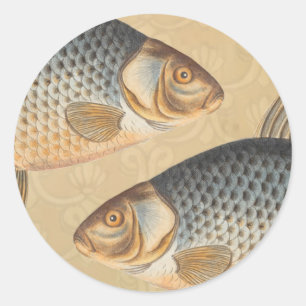 Carp fish fishing painting freshwater drawing  classic round sticker