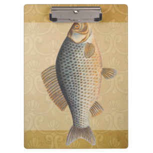 Carp fish fishing painting freshwater drawing clipboard