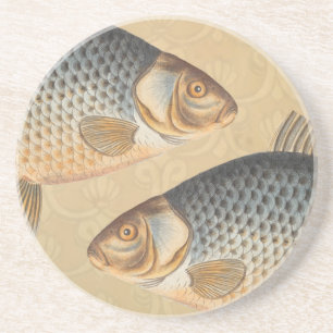 Carp fish fishing painting freshwater drawing coaster