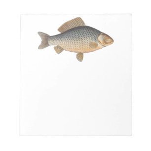 Carp fish fishing painting freshwater drawing notepad
