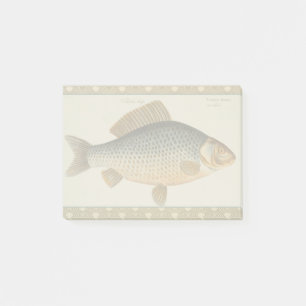 Carp fish fishing painting freshwater drawing post-it notes