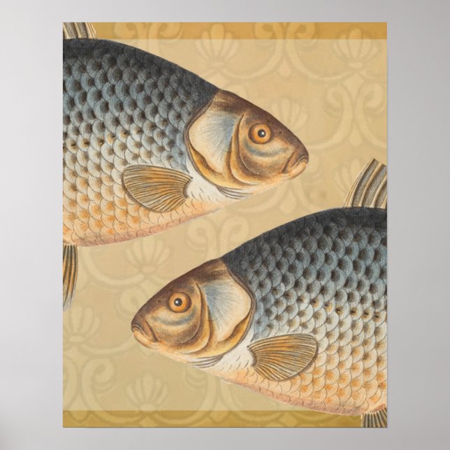 Carp fish fishing painting freshwater drawing  poster (Front)
