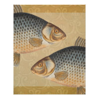 Carp fish fishing painting freshwater drawing
