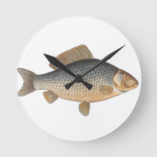 Carp fish fishing painting freshwater drawing round clock