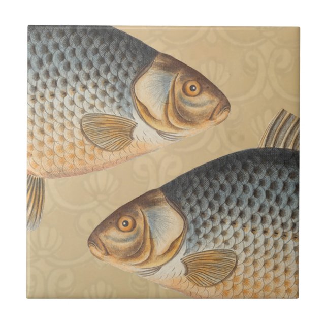 Carp fish fishing painting freshwater drawing  tile (Front)