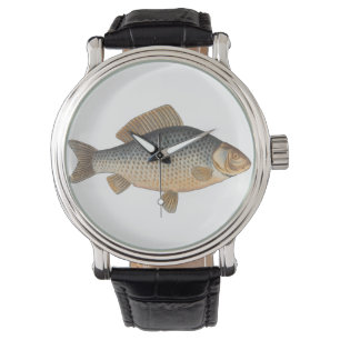 Carp fish fishing painting freshwater drawing watch
