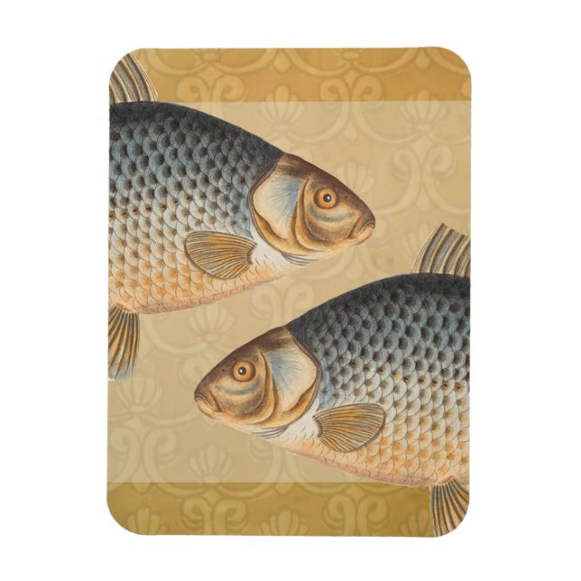 Carp fish fishing painting freshwater magnet (Vertical)
