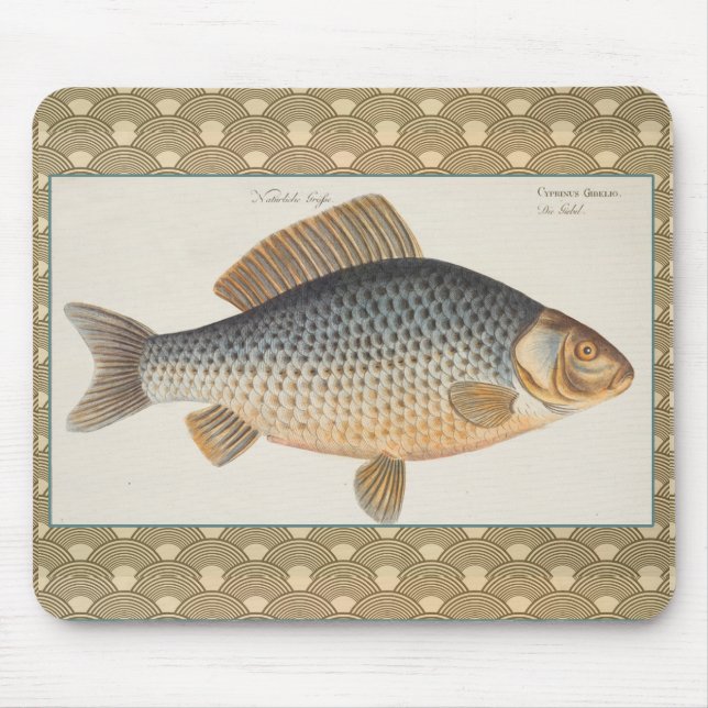 Carp fish fishing painting freshwater mouse mat (Front)
