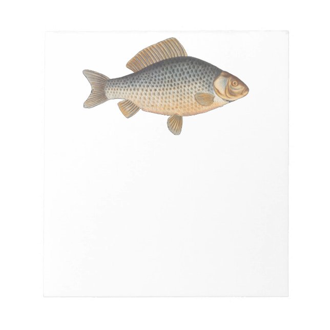 Carp fish fishing painting freshwater notepad (Front)