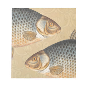 Carp fish fishing painting freshwater notepad