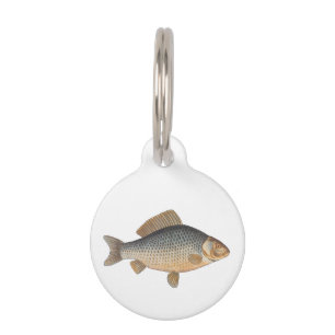 Carp fish fishing painting freshwater pet tag