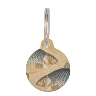 Carp fish fishing painting freshwater pet tag
