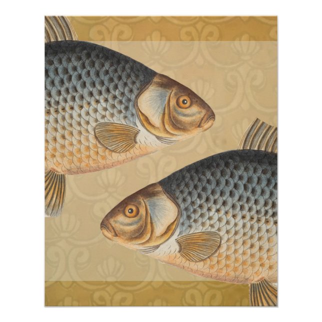 Carp fish fishing painting freshwater poster (Front)