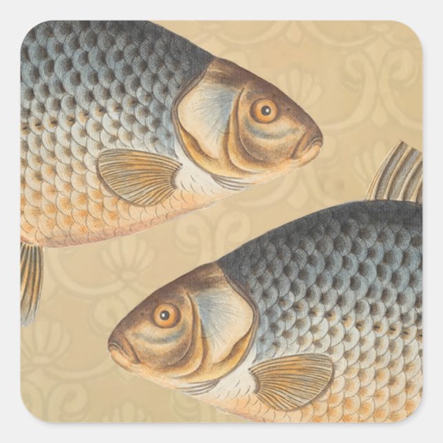 Carp fish fishing painting freshwater square sticker (Front)
