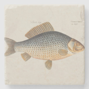 Carp fish fishing painting freshwater stone coaster