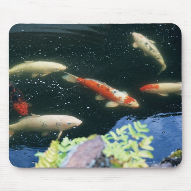 Carp Mouse Mat (Front)